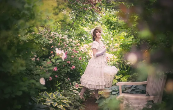 Greens, summer, leaves, girl, flowers, bench, branches, pose