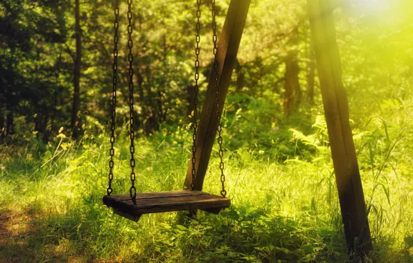 Picture summer, light, swing