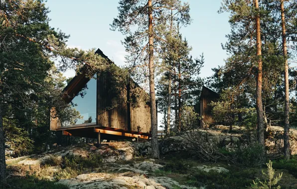 Picture Nature, Home, Trees, Nature, Finland, Finland, Hilltop Forest Hotel, Hotel Hilltop Forest