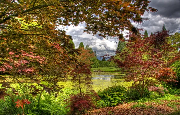 Autumn, leaves, trees, pond, garden, Canada, the bushes, Vancouver