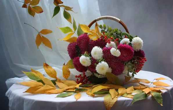 Picture autumn, leaves, flowers, still life, Rowan, September, asters