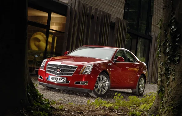 Trees, red, house, sedan, the front, cadillac, Cadillac, cts