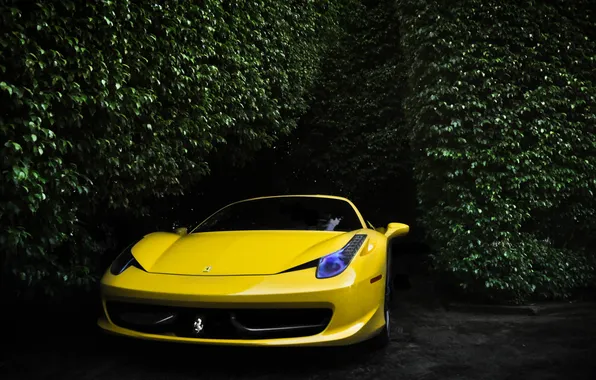 Picture yellow, ferrari, Ferrari, yellow, Italy, the front, 458 italia, shrub