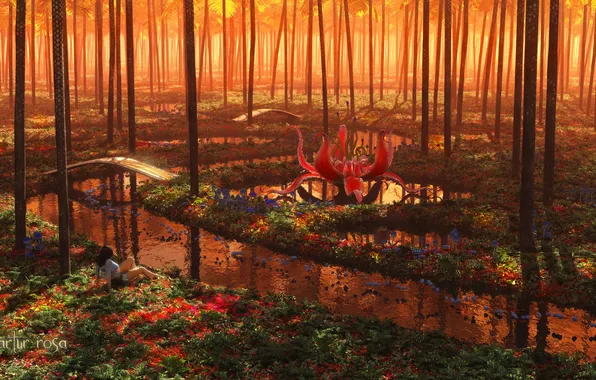 Forest, grass, water, girl, trees, flowers, bridge, river