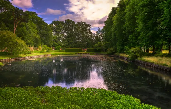 Trees, design, pond, Park, lawn, UK, the bushes, Erddig Country Park