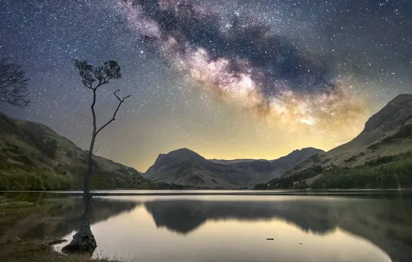 Stars, mountains, night, lake, reflection, tree, rocks, shore