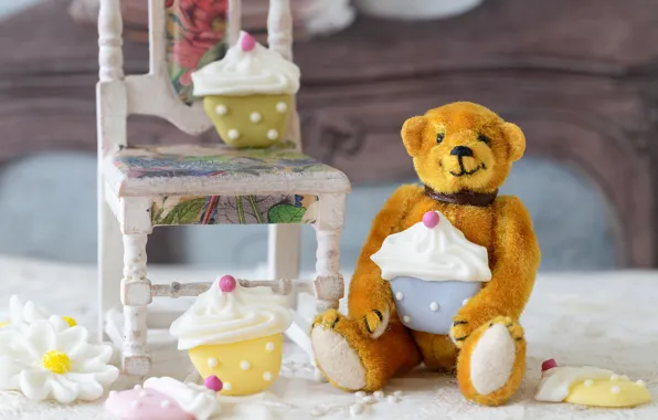Toy, cookies, bear