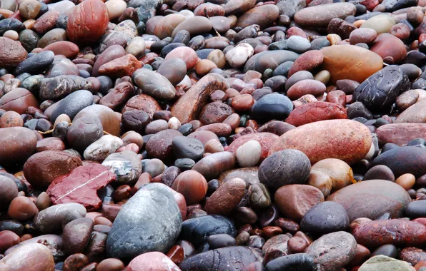 Beach, Stones, wet, Moka