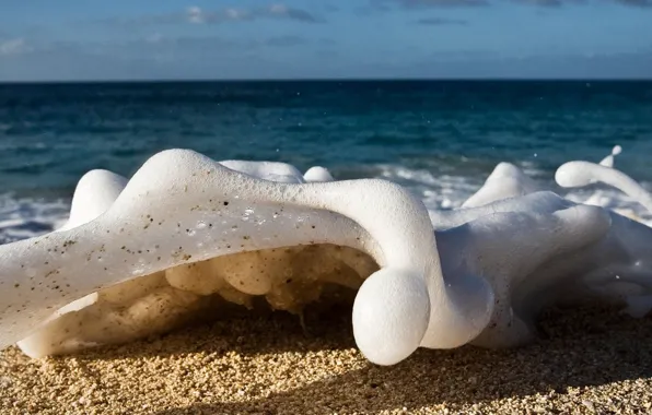 Picture sand, sea, foam, water, macro, the ocean, shore, wave