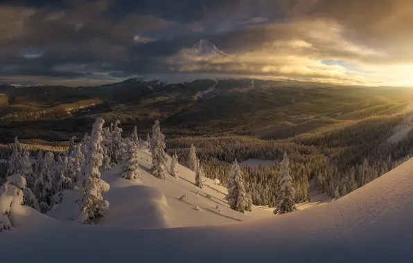 Picture winter, forest, snow, dawn, morning, valley, Oregon, the snow