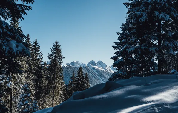 Picture winter, the sky, snow, trees, mountains, nature, rocks