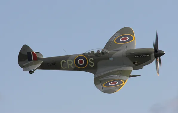Supermarine Spitfire, RAF, Supermarine Spitfire, English fighter of the Second world war