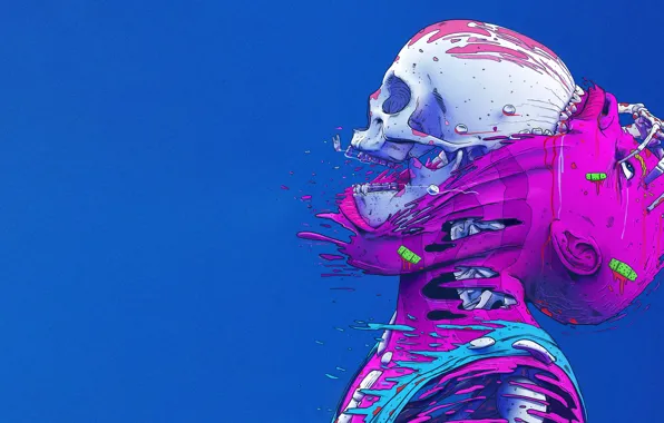 Color, Skull, Style, Leather, Bones, Fantasy, Style, Color