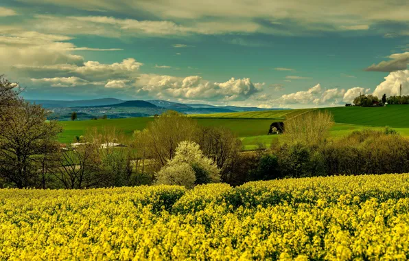 The sky, clouds, trees, flowers, mountains, hills, view, field