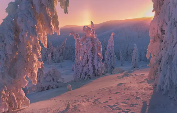 Snow, trees, landscape, sunset, mountains, nature, forest, hills