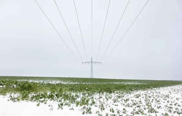 Winter, field, power lines