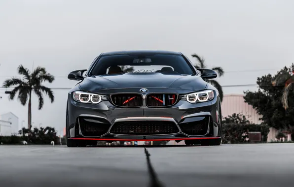 Picture BMW, Front, Gray, Face, Strict, Sight, F83