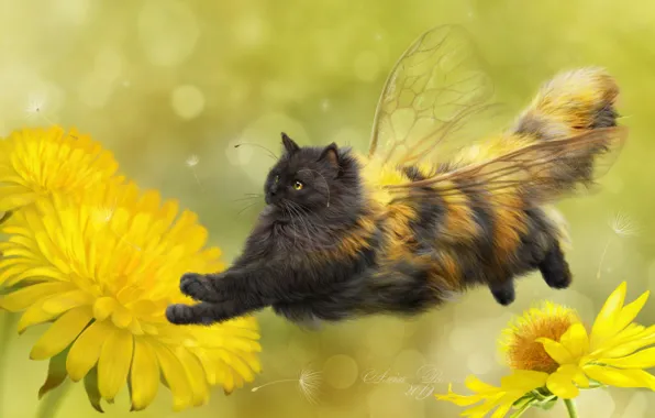 Cat, flowers, background, art, dandelions, wings, fluffy, cat-bee