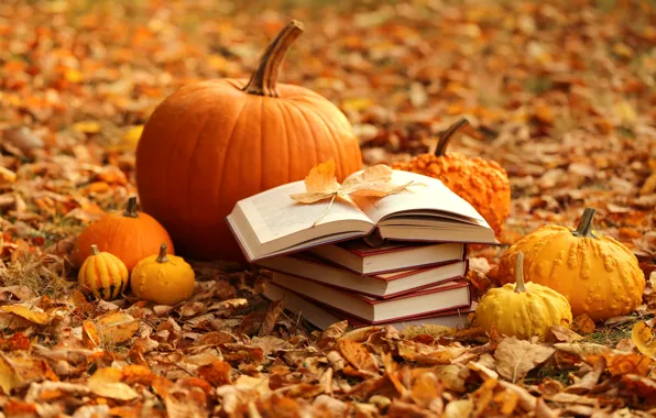 Autumn, leaves, books, harvest, pumpkin, yellow, autumn, leaves