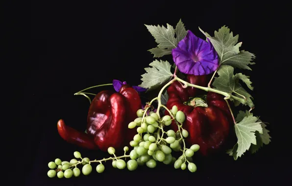 Picture grapes, pepper, bindweed