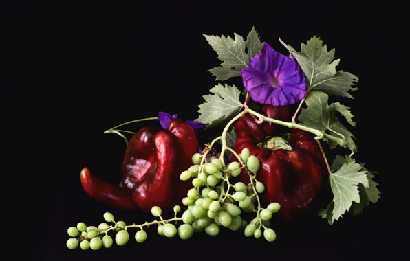 Grapes, pepper, bindweed