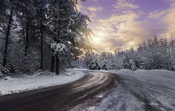 Picture cold, winter, sunset