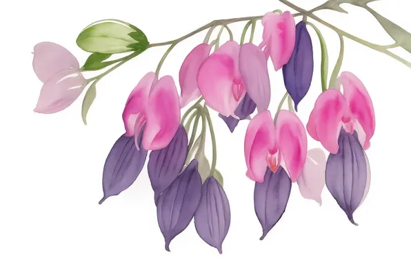 Flower, purple, flowers, green, pink, green, tenderness, figure