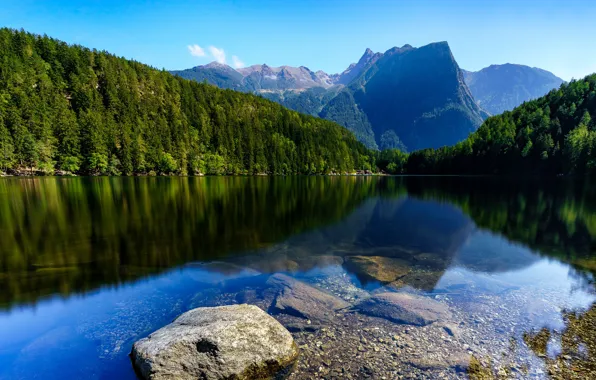 Forest, the sky, the sun, trees, mountains, lake, stones, rocks