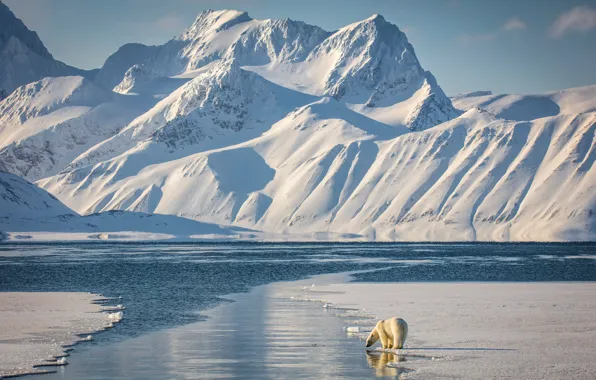 Ice, winter, light, snow, mountains, shore, tops, shadow