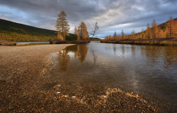 Autumn, trees, nature, Kolyma, stream Unknown, Maxim Evdokimov