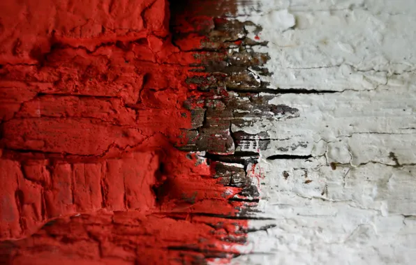 Wall, color, texture
