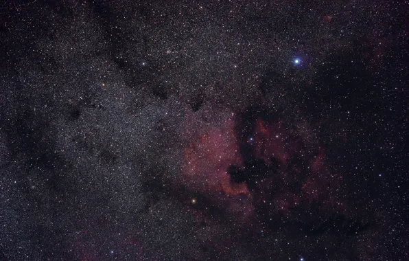 Space, stars, The Pelican Nebula, North America