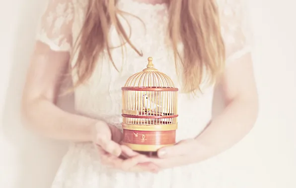 Picture bird, cell, girl, bird