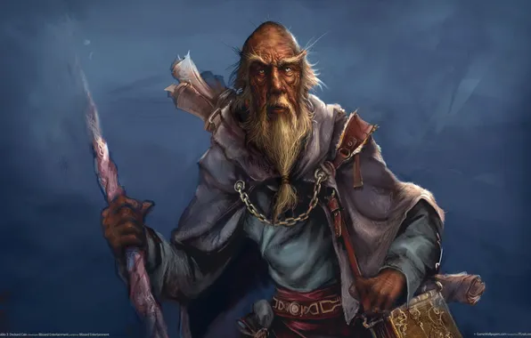 Picture GameWallpapers, Diablo, Blizzard Entertainment, Deckard Cain, Deckard Cain, Diablo3, the last of the Horadrim