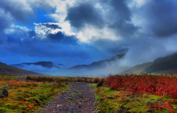 Road, autumn, grass, clouds, mountains, the bushes