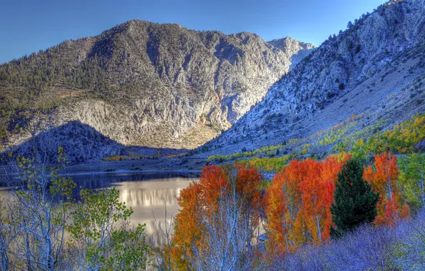 Picture autumn, the sky, trees, mountains, lake, CA, USA, Eastern Sierra