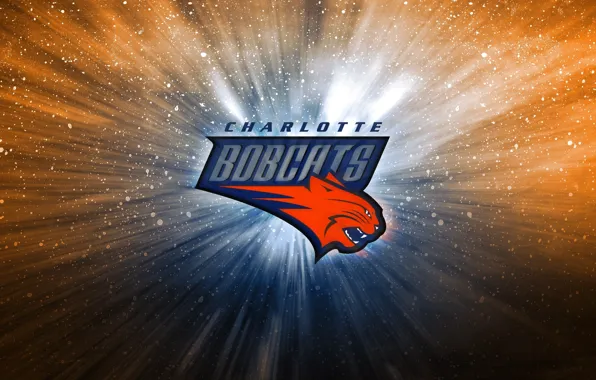 Basketball, Background, Logo, NBA, Cats, The Charlotte Bobcats, Charlotte, North Carolina