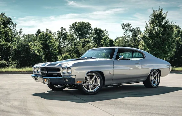 Trees, grey, Chevrolet, silver, Playground, Chevelle, Chevrolet Chevelle