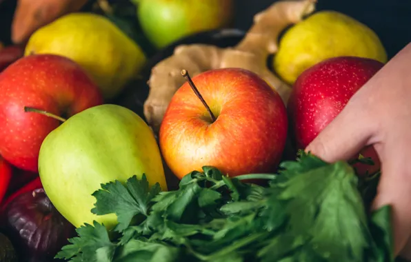 Apples, hand, parsley, ginger