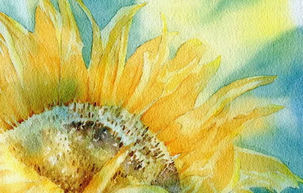 Picture background, sunflower, picture