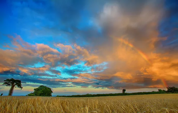 Field, clouds, trees, rainbow