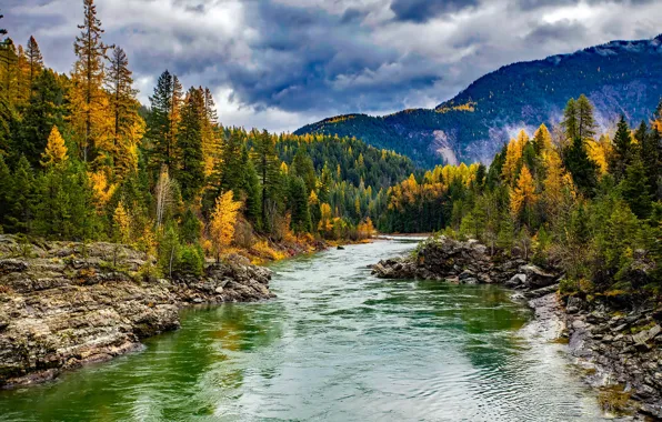 Autumn, forest, the sun, clouds, trees, mountains, stones, Montana