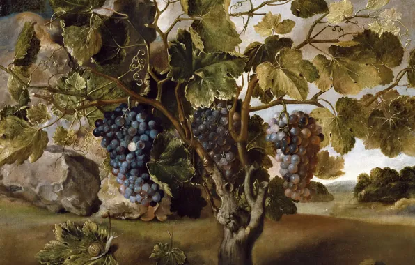 Berries, picture, bunch, Thomas HEPES, Landscape with Vine