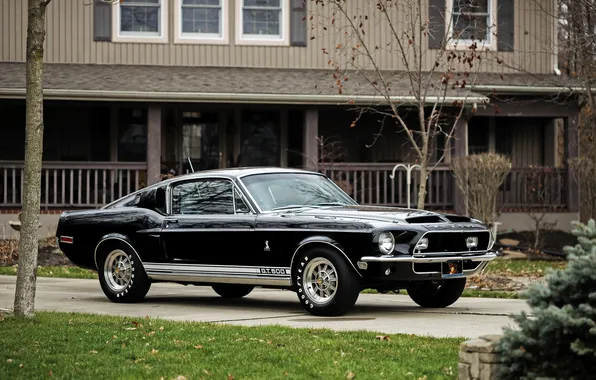Mustang, Ford, Shelby, GT500, Mustang, Ford, Shelby, 1968