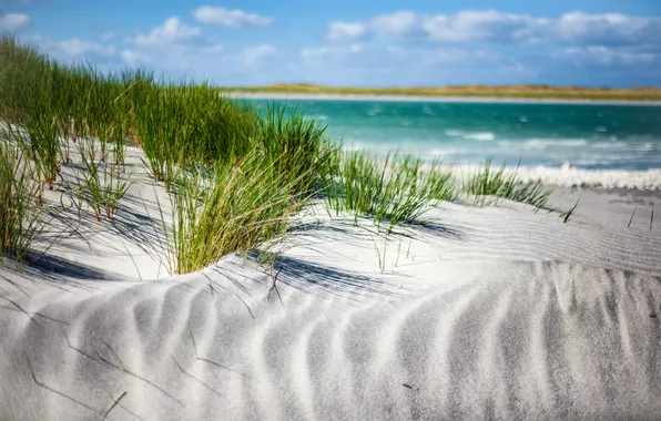 Sand, sea, grass, clouds, dunes