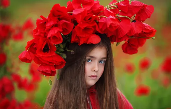 Picture flowers, nature, Maki, girl, wreath