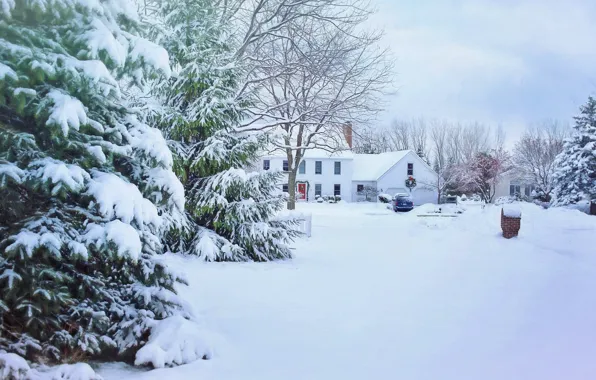 Winter, auto, snow, trees, tree, home, frost