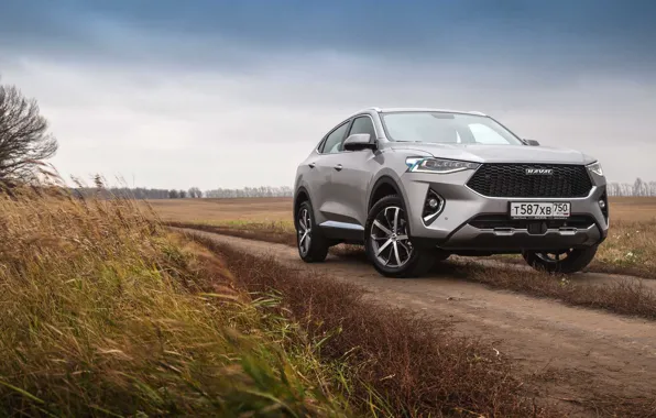 Road, field, car, machine, the sky, car, front, crossover