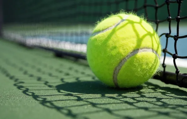 Picture mesh, the ball, shadow, tennis