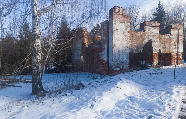 Winter, the sky, clouds, snow, trees, the ruins, ruins, Russia
